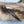Laden Sie das Bild in den Galerie-Viewer, Unisex Armband Leder Anker - SHT Design